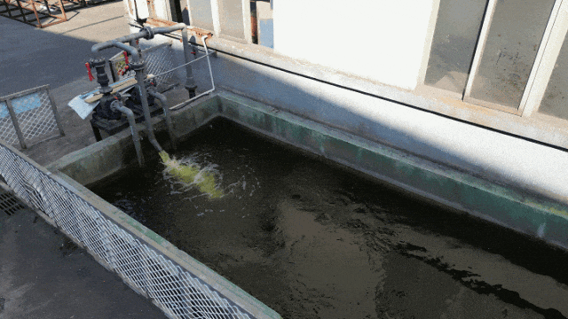 喜訊！中亞鋁業榮獲企業綠色品牌！(圖7)